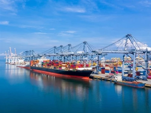 Container Market For October